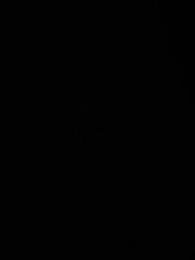 第18集 - 珠星紀