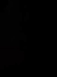 第22集 - 是誰偷吻我