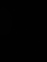 第23集 - 珠星紀