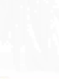 胡說，我院子裏絕對沒有神器 - Episode 7