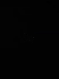 第15集 - 春日濃情