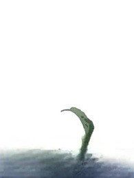 胡說，我院子裏絕對沒有神器 - Episode 66