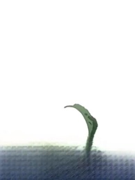 Episodio 66 - [Doblado]Llegué Como Mortal, Reiné Como Leyenda