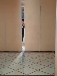 Il Risveglio dell'Erede Perduto - Episode 16