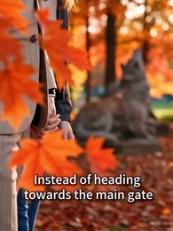 Episode 11 - From the Depths, to Your Light