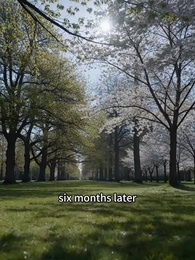 Episode 25 - Ashes of the Dark Moon