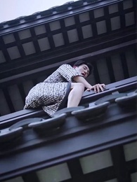 Tập 27 - Tái Sinh Từ Tro Tàn