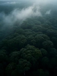 The Desert King’s Oasis Luna - Episode 1