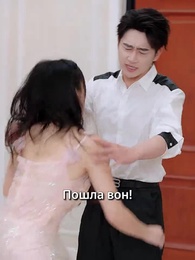 Серия 26 - Ночь на весенних ветвях