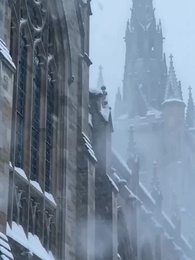 Episode 15 - Rebirth: Magic Beast Contract & Revenge+