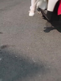 第39集 - 小可憐孕吐,付爺掌心嬌寵