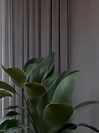 Episodio 20 - [Doblado]Demasiado talentoso para trabajar