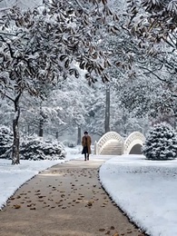 Abandoned in Snow，Returned as Heiress - Episode 14