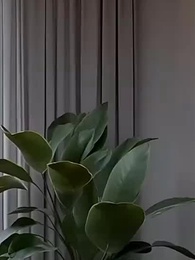 [Dubbed] A-List, D-List Effort - Episode 20