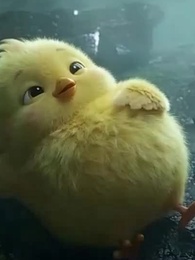 Episode 62 - [Dubbed] Chicken Attack!