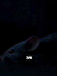 ママの愛が私を殺した - Episode 7