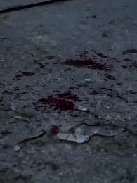喪屍王：開局撿個女兒是女帝重生 - Episode 38