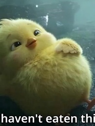 Episode 62 - My Broken Chick is a Phoenix?
