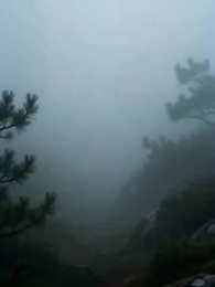 美人双子に嵌められて竜の花嫁にされた私 - Episode 27