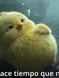 De Pollito a Fénix Sagrado - Episode 62