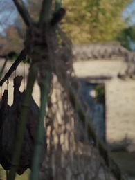 第64集 - 皇后千秋