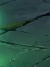 Episode 19 - [Dubbed] Getting Married in the Eerie World?
