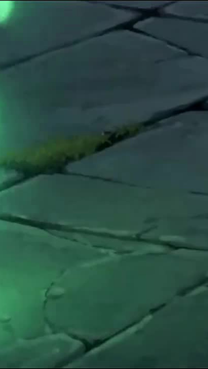 Episode 19