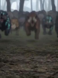 Episódio 46 - Da Favela ao Deus das Feras