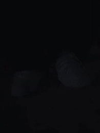 31화 - 내가 바로 어비스다