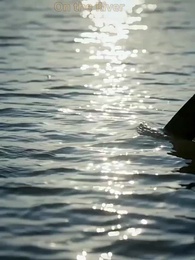 Oops, I Fished Up a Royal - Episode 10