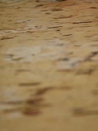 Episodio 21 - La Trampa del Deseo: Secretos bajo la Lluvia