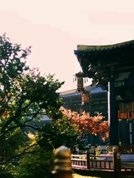 38화 - 복덩이 군주
