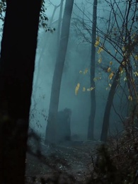 Un Despertar, el Príncipe que me Obliga a Ser su Princesa - Episode 5