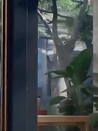 第26集 - 校花別追了，爺的深情你不配