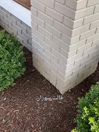 الحلقة 21 - [مدبلج]أمي، أنا لا أكذب