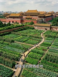 第37集 - 朕的壯妃