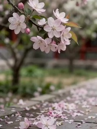 言靈一諾，歲歲靜安 - Episode 9