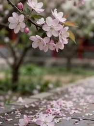 静かな幸せを君に - Episode 9