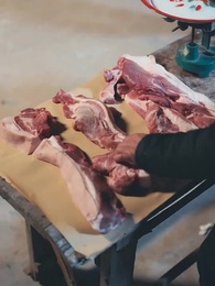 Episodio 7 - Bajo la Tierra Corría Vida