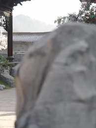 第47集 - 什麼白月光，我是他們的黑心蓮
