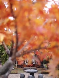 第12集 - 大婚日，新郎納妾我怒嫁竹馬