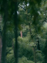 Ánh Ban Mai Ngày Nắng - Episode 15
