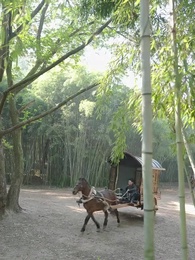 什麼白月光，我是他們的黑心蓮 - Episode 51