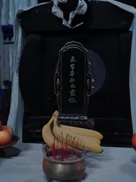 第29集 - 開局滿級金鍾罩,我爹被渣了