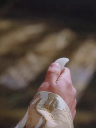 第79集 - 開局滿級金鍾罩,我爹被渣了