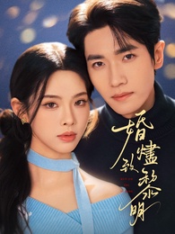 婚燼致黎明