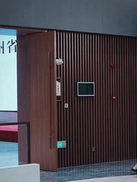 第29集 - 醫武通天:快遞員的逆襲傳奇