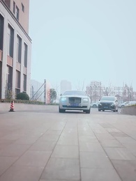 第60集 - 白玫瑰的假面遊戲