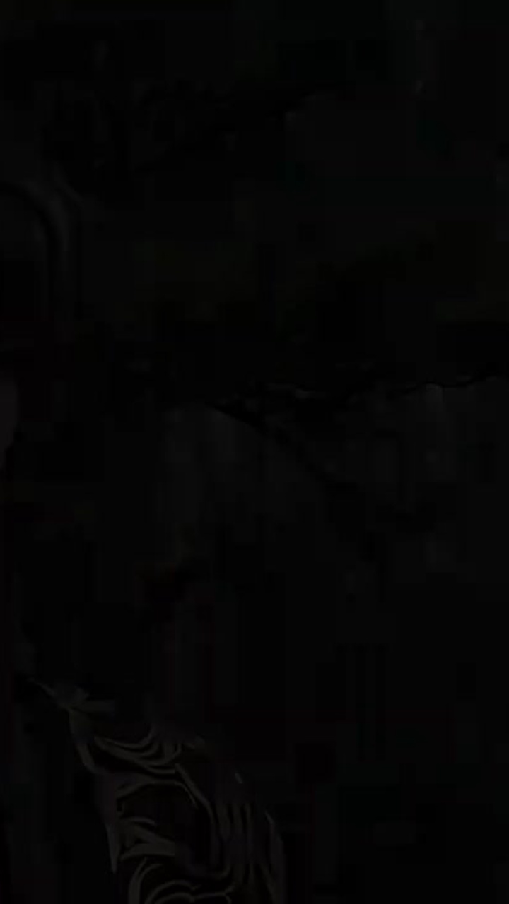 Episode 56
