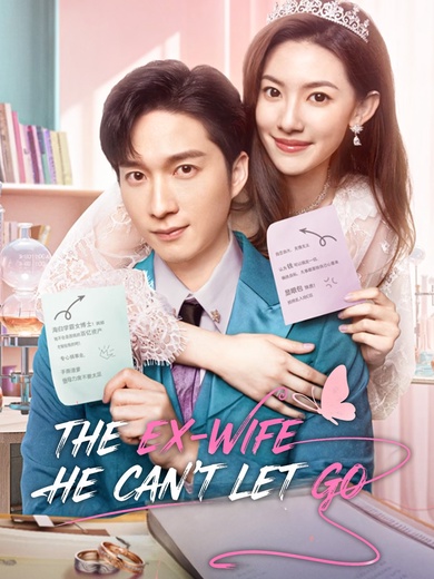 The Ex-Wife He Can't Let Go